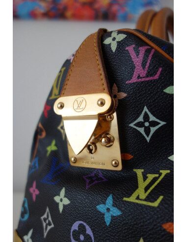 SAC VUITTON SPEEDY 30 MURAKAMI