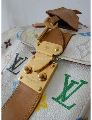 SAC VUITTON MURAKAMI SPEEDY 30