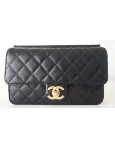 SAC CHANEL CLASSIQUE PM 2