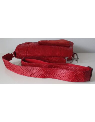 SAC DIOR SADDLE ROUGE