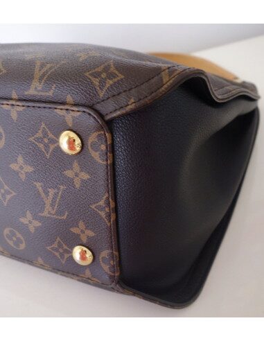 Sac Louis Vuitton Gaïa