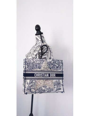 Sac Dior Book Tote "Around the world"
