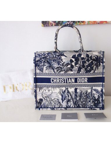 Sac Dior Book Tote