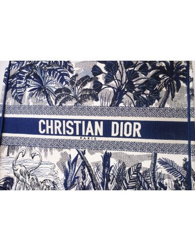 Sac Dior Book Tote