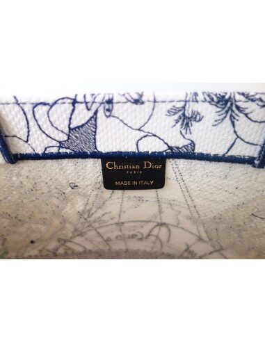Sac Dior Book Tote "Around the world"