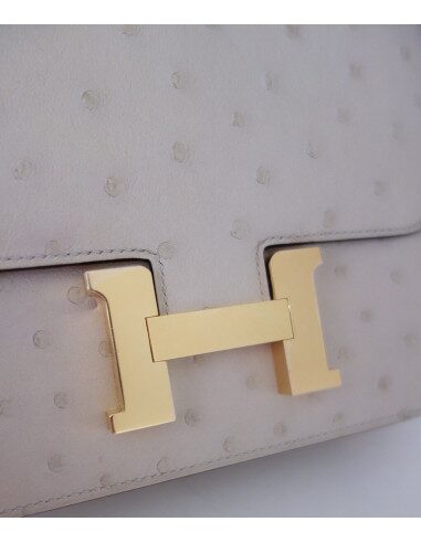 Sac Hermes Constance III