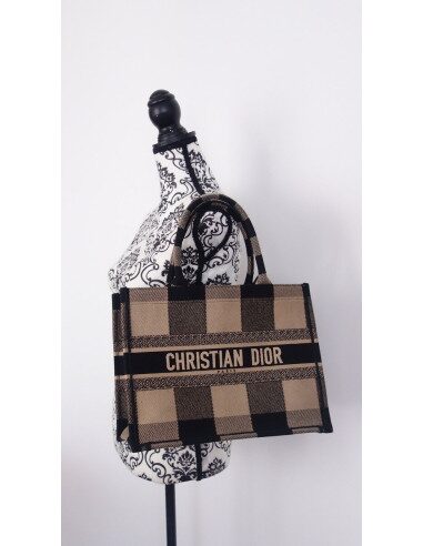 Sac Dior Book Tote Pm