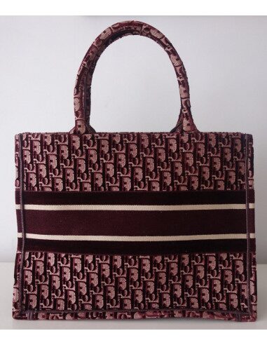 Sac Dior Book Tote Pm