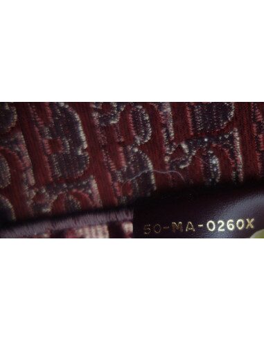 Sac Dior Book Tote Pm