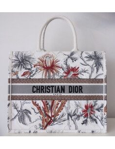 Sac Dior Book Tote