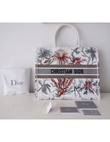 Sac Dior Book Tote