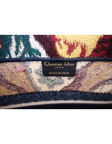 Sac Dior Book Tote 2021