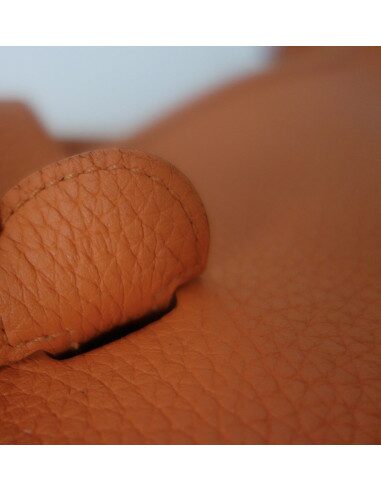 Sac Hermes Evelyne III