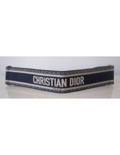 Ceinture Dior Book Tote 2