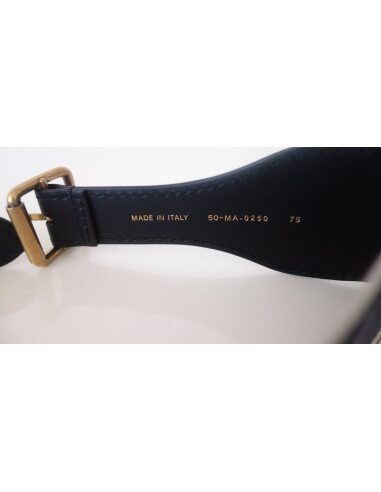 Ceinture Dior Book Tote