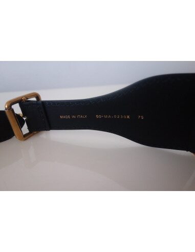 Ceinture Dior Book Tote
