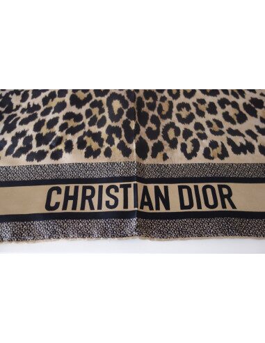 Foulard Dior Diortwin Mizza square