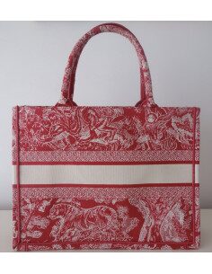 Sac Dior Book Tote 2
