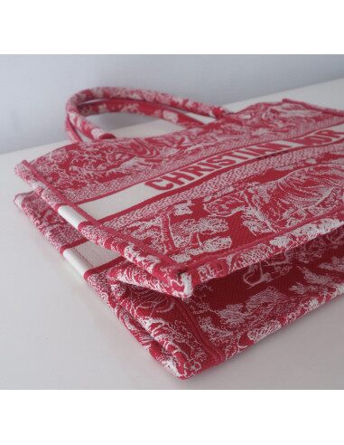 Sac Dior Book Tote
