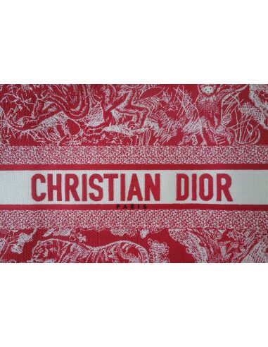 Sac Dior Book Tote
