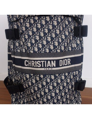 Valise Diortravel medium