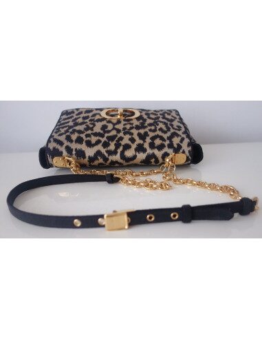 Sac Dior Caro