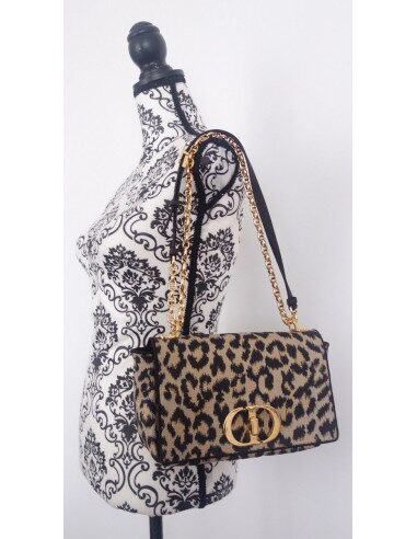 Sac Dior Caro