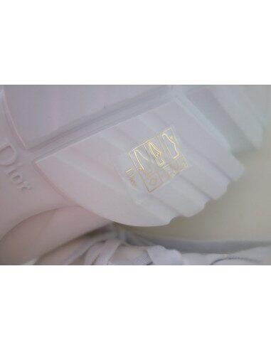 Sneakers Dior D-Connect