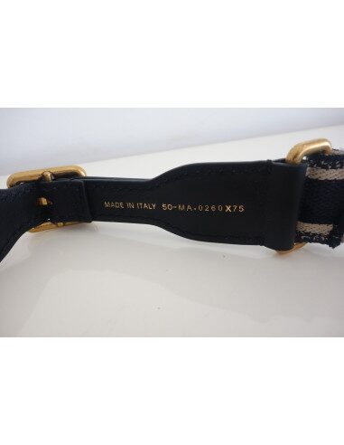 Ceinture Dior Book Tote