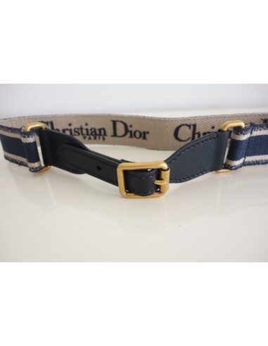 Ceinture Dior Book Tote