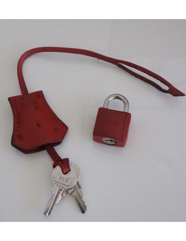Sac Hermes Birkin 30 autruche