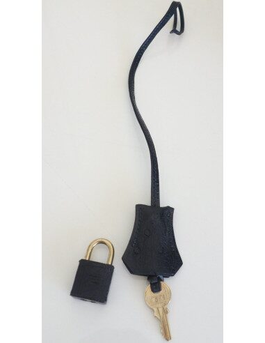 Sac Hermès Bolide 35 autruche