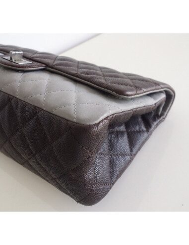 Sac Chanel 2.55 226