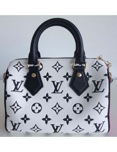 sac Vuitton Speedy 20