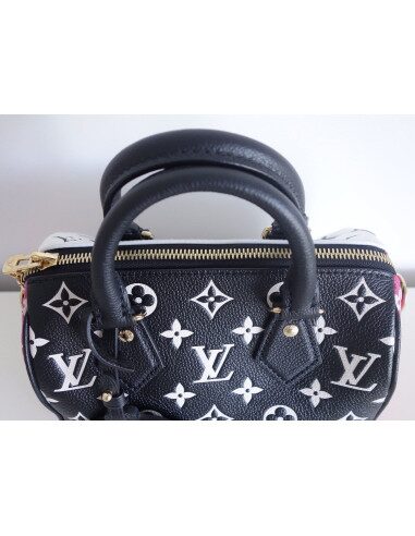 sac Vuitton Speedy 20