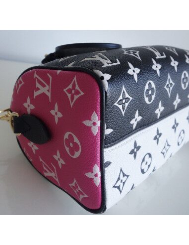 sac Vuitton Speedy 20
