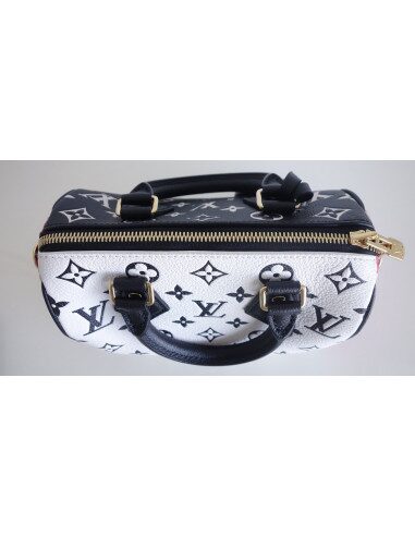 sac Vuitton Speedy 20