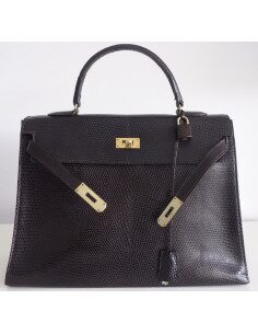 Sac Hermes Kelly 35 lézard 2