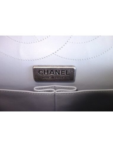 Sac Chanel 2.55 python