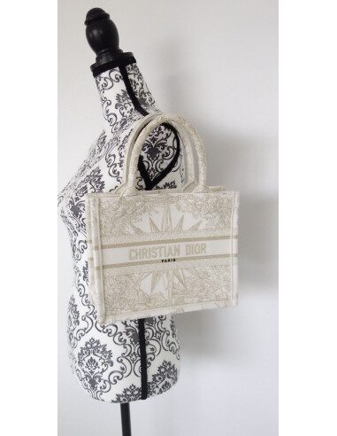 Sac Dior Book Tote petit modèle