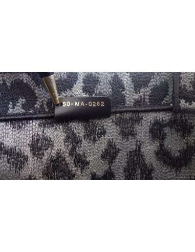 Sac Dior Book Tote Mizza