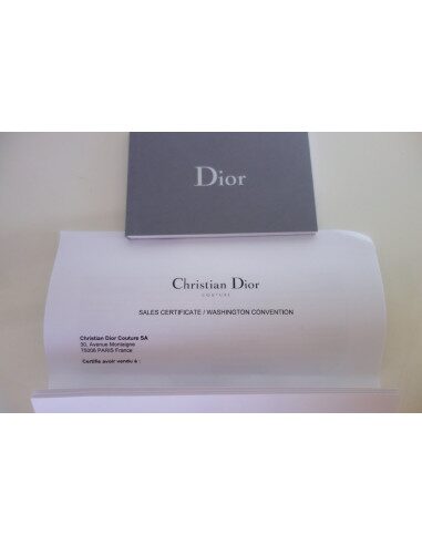 Sac Lady Dior lézard mini modèle