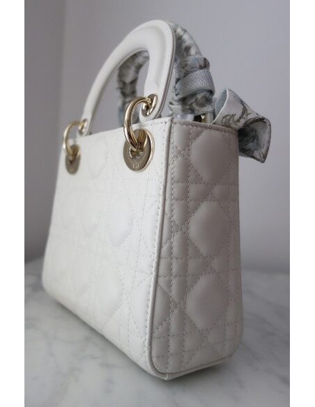 Sac Lady Dior mini 2026