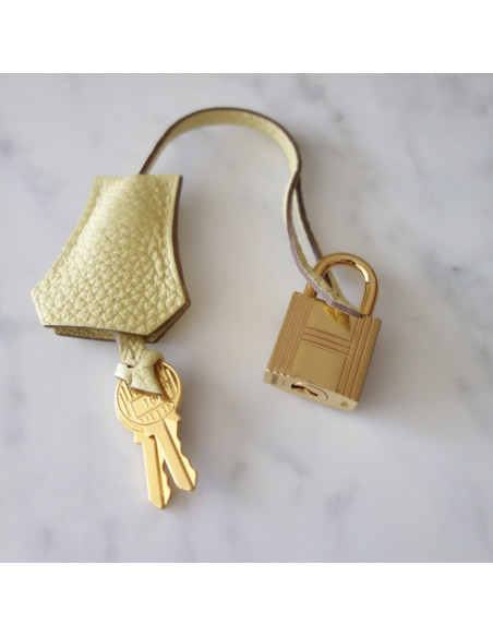 Sac Hermes Birkin 25 jaune poussin