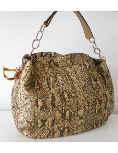 SAC DIOR SOFT PYTHON